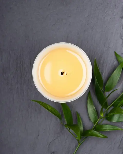 Lit candle in a white holder on slate with green leaves